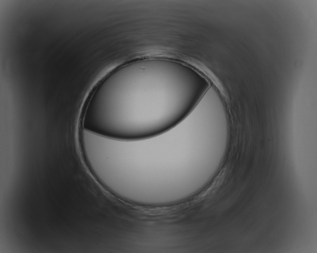 X0000099571285200805160718