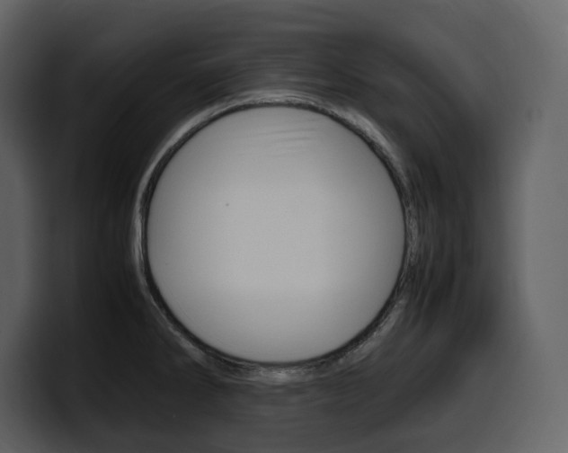 X0000099571286200805160718