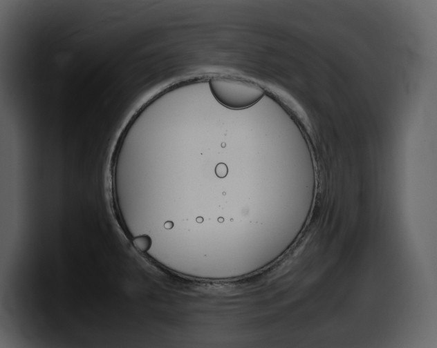 X0000099571287200805160718