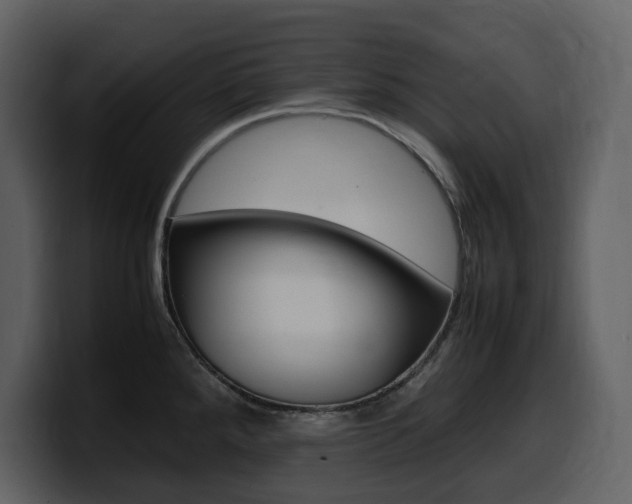 X0000099571288200805160718