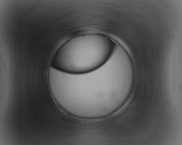 X0000099571289200805160718