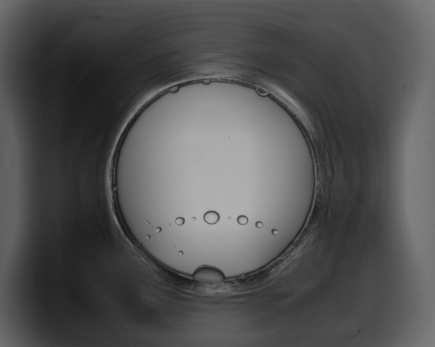 X0000099571291200805160718