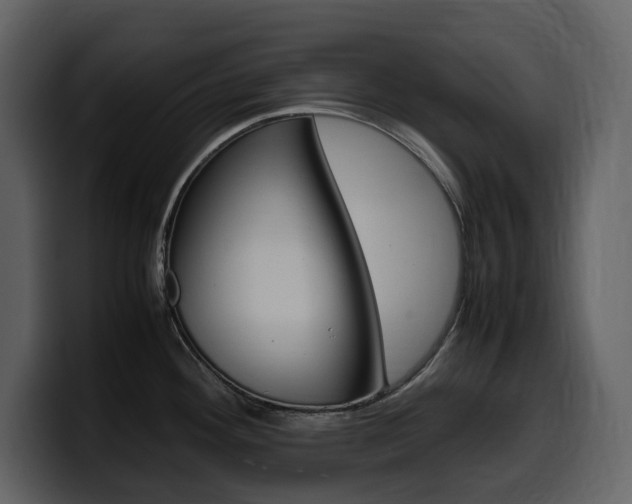 X0000099571292200805160718