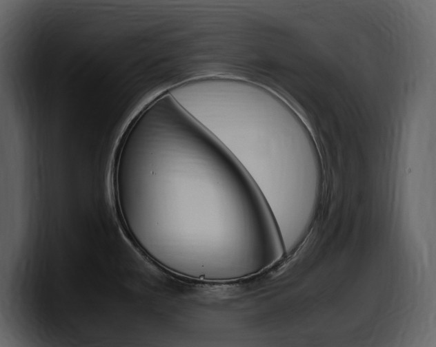 X0000099571293200805160718