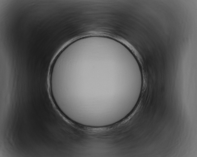 X0000099571294200805160718