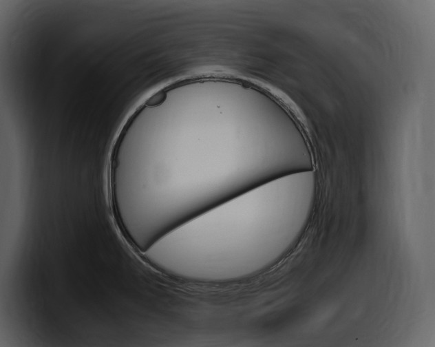 X0000099571295200805160718