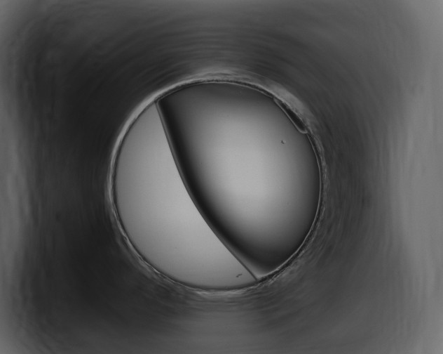 X0000099571296200805160718