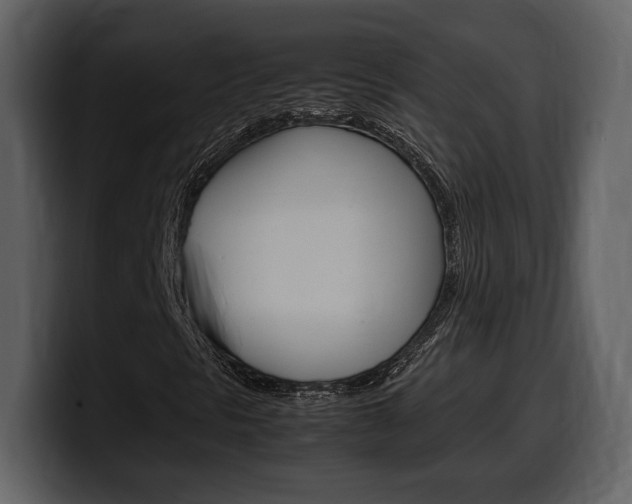 X0000099571297200805160718