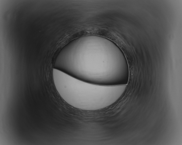 X0000099571298200805160718