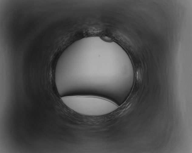 X0000099571299200805160718