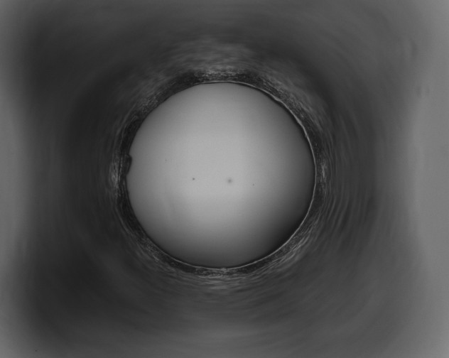 X0000099571300200805160718