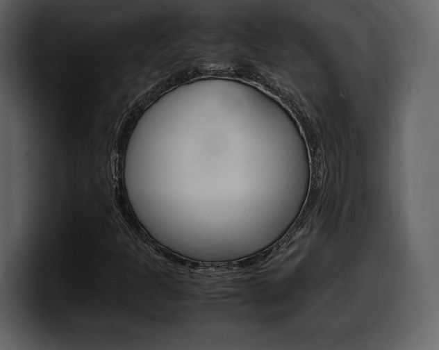 X0000099571301200805160718