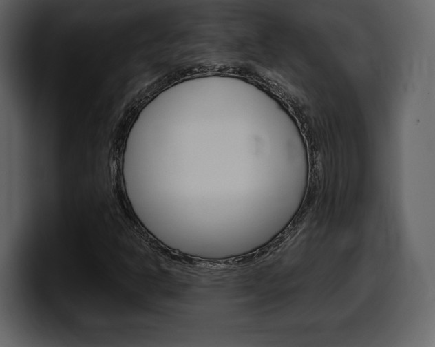 X0000099571302200805160718