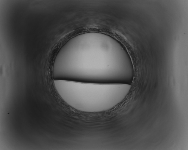 X0000099571303200805160718