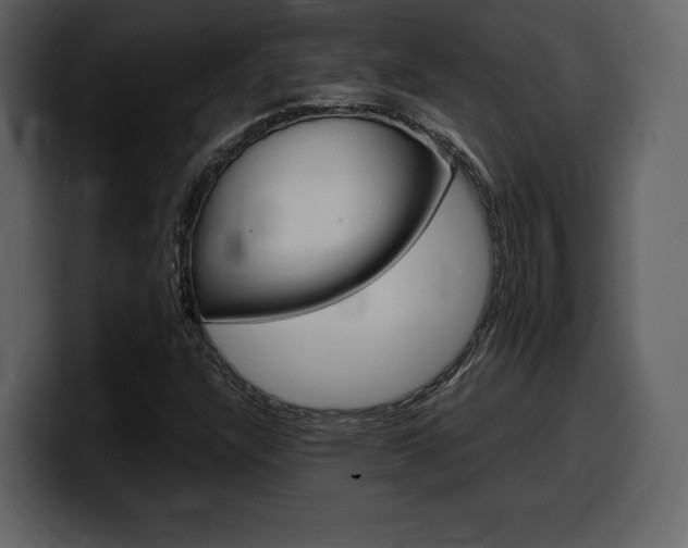 X0000099571304200805160718