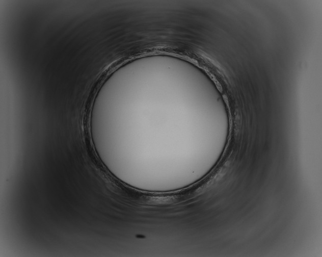 X0000099571305200805160718