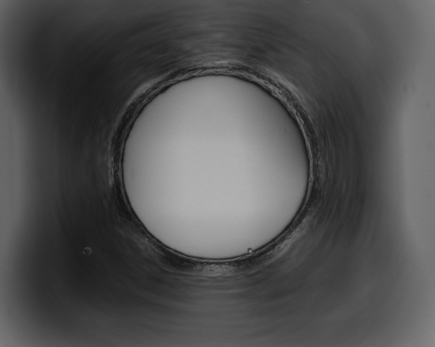 X0000099571306200805160718