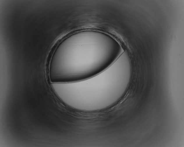 X0000099571308200805160718