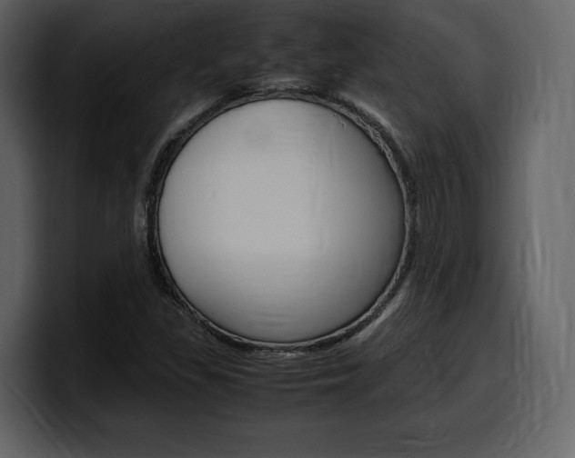 X0000099571309200805160718