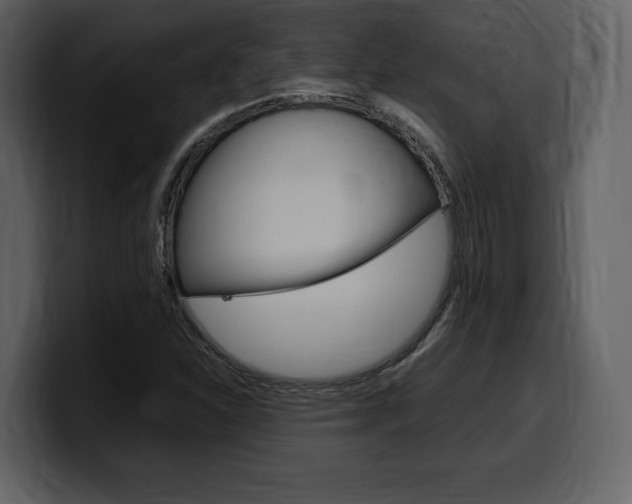 X0000099571310200805160718