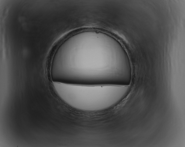 X0000099571311200805160718