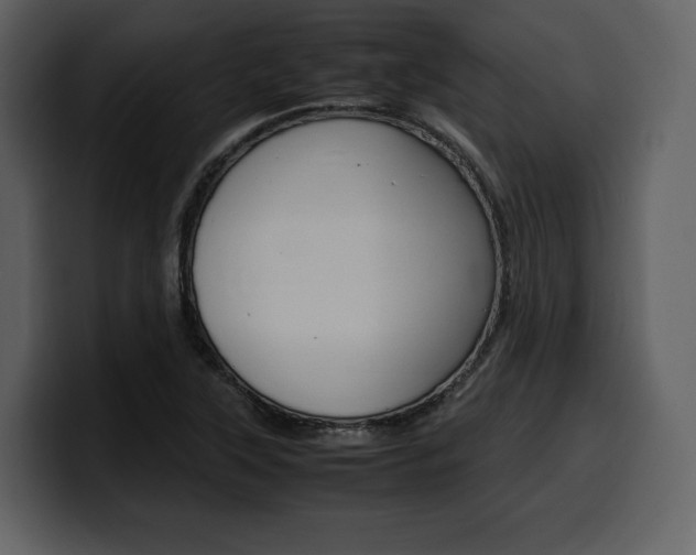 X0000099571315200805160718