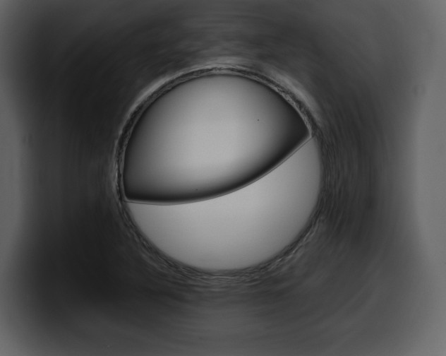 X0000099571316200805160718