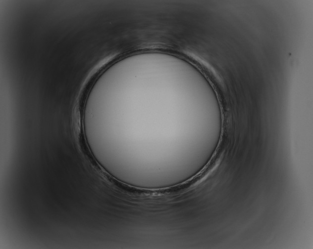 X0000099571317200805160718