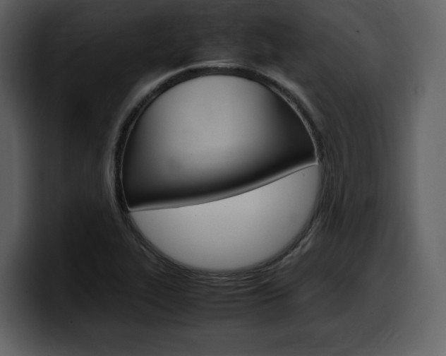 X0000099571319200805160718