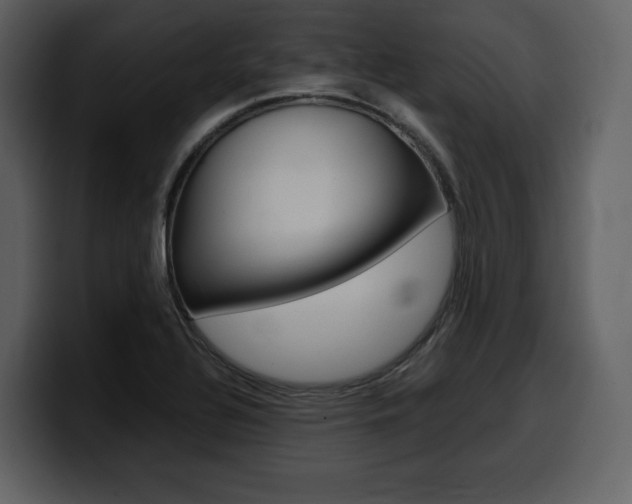 X0000099571320200805160718