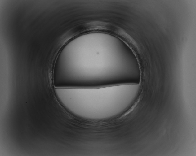 X0000099571321200805160718