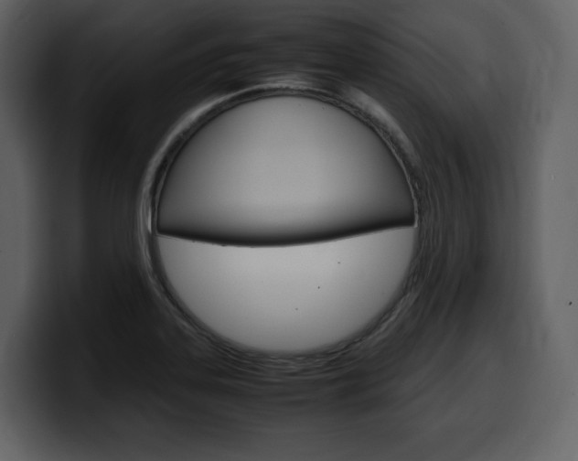 X0000099571323200805160718