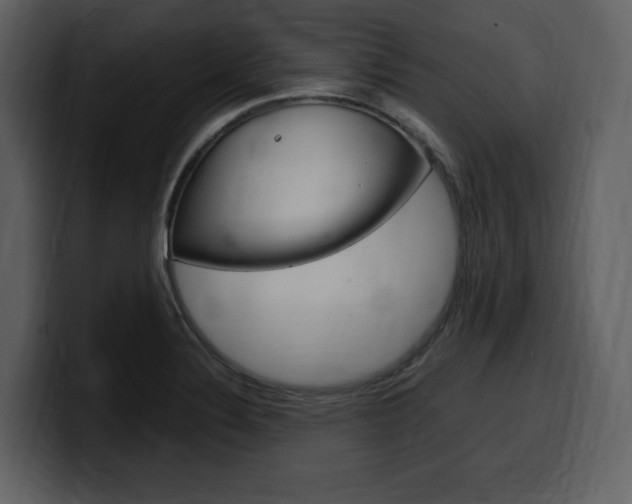 X0000099571324200805160718