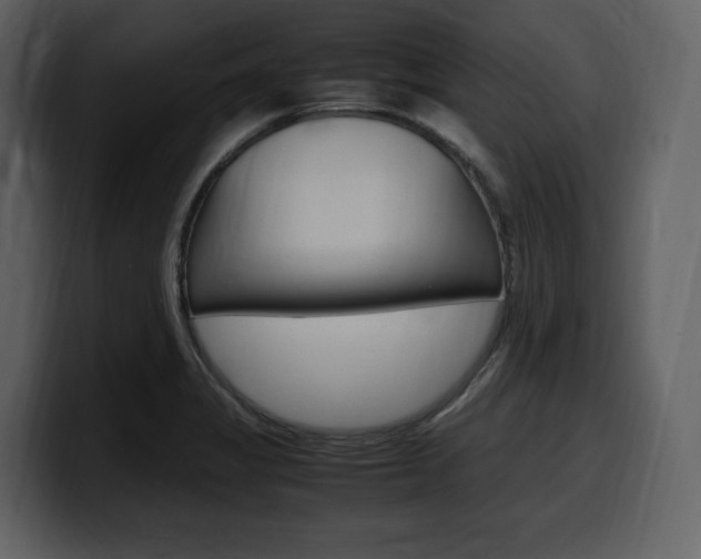 X0000099571325200805160718