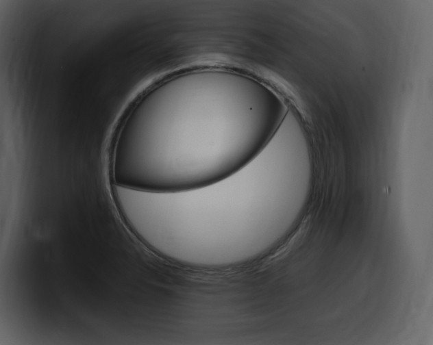 X0000099571326200805160718