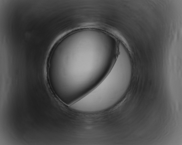 X0000099571328200805160718