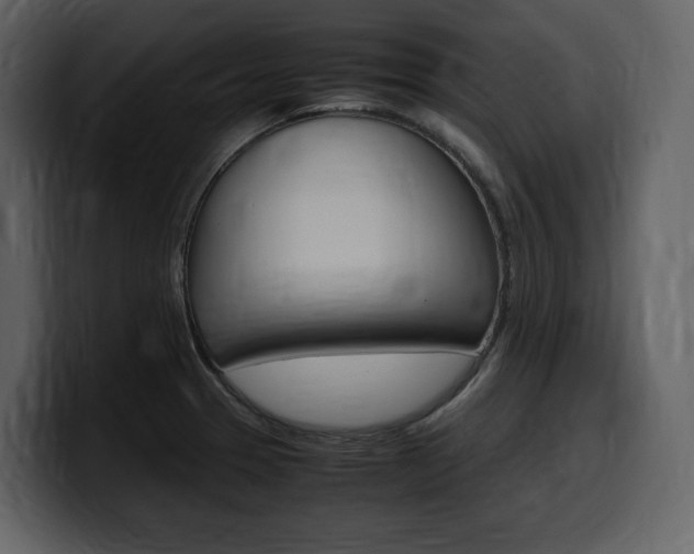 X0000099571329200805160718
