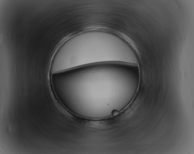 X0000099571330200805160718