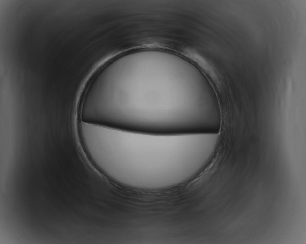 X0000099571331200805160718