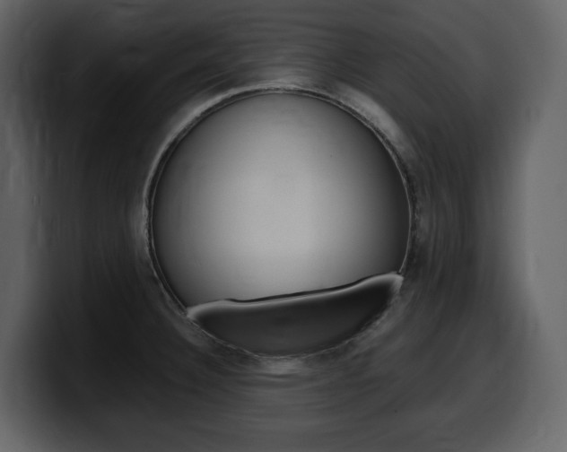X0000099571332200805160718