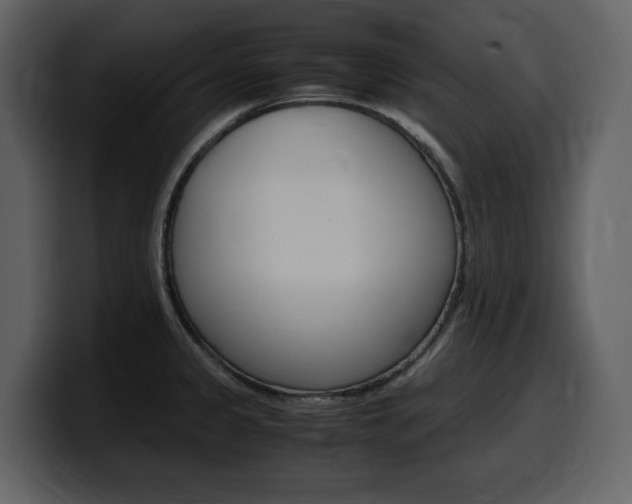 X0000099571333200805160718