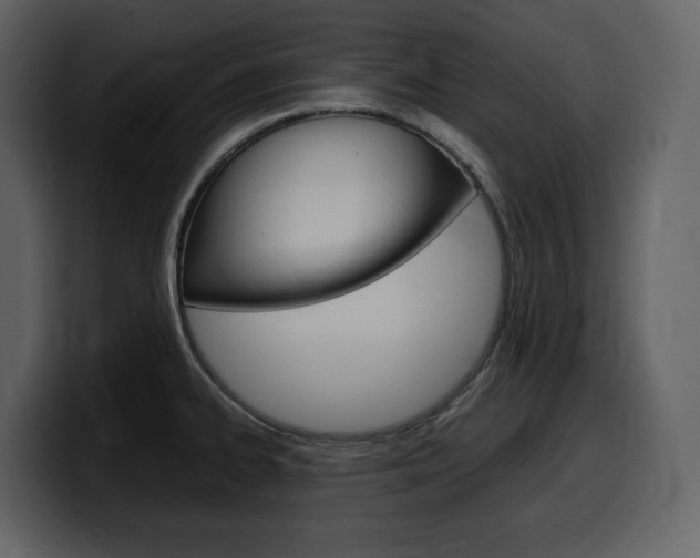 X0000099571334200805160718