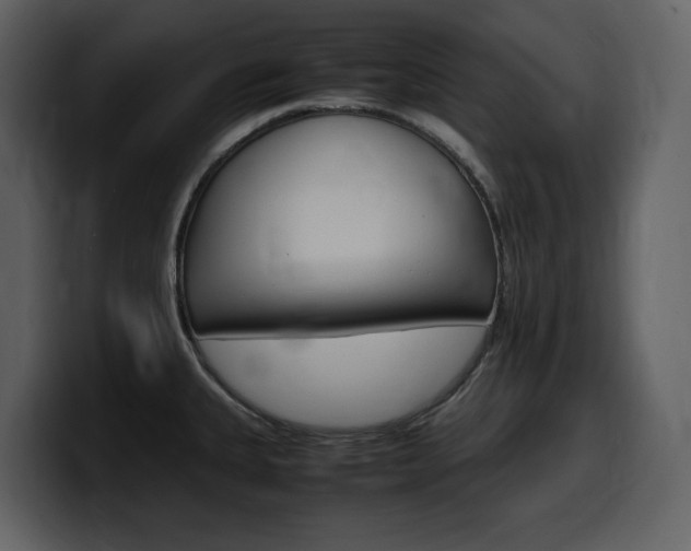 X0000099571335200805160718