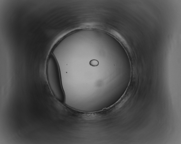 X0000099571336200805160718