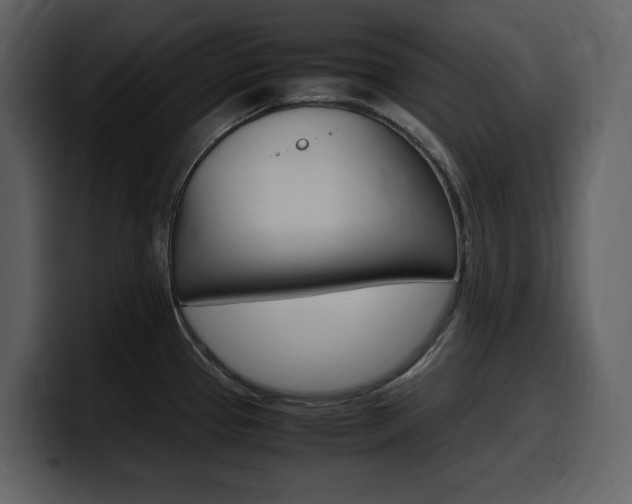 X0000099571337200805160718