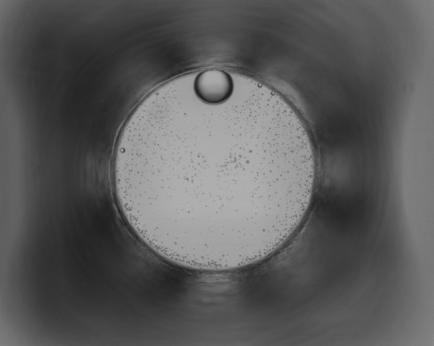 X0000099571338200805160718