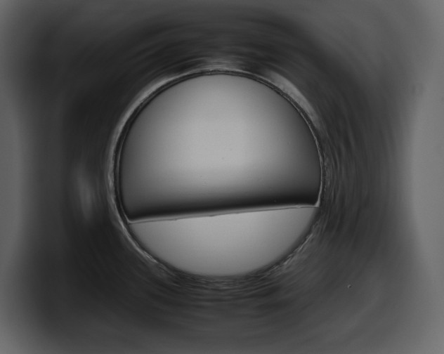 X0000099571339200805160718