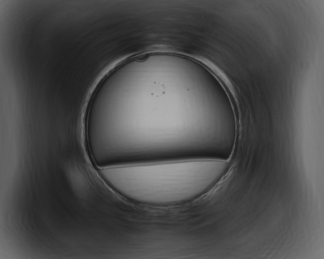 X0000099571341200805160718
