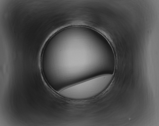 X0000099571342200805160718