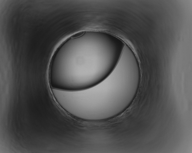 X0000099571344200805160718